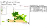 Land Use and Zoning - West of Sandy River - 