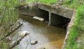 Culverts - Culverts help prevent flooding and improve fish and wildlife crossings. 