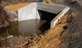 Example Culvert - The Crystal Springs bridge will be replaced with a culvert similar to this one.