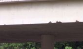 Visible Damage - Damage from over-height vehicles is visible on the overpass.