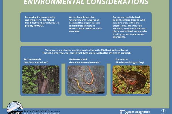 Environmental Considerations}
