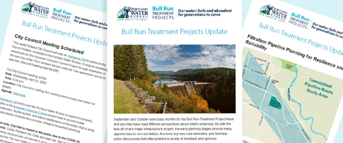 Bull Run Treatment Newsletter Example