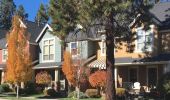 Cooper Mountain Townhomes - 