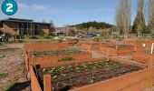 2. Learning Garden  -  A vegetable garden with raised beds near the campus entrance facing northwest.