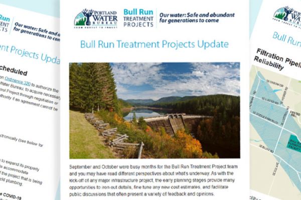 Bull Run Treatment Newsletter Example}